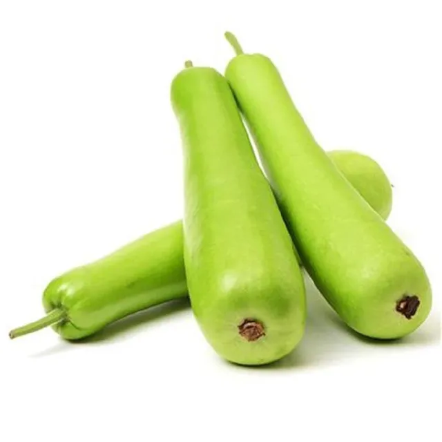 Dudhi-Bottle-Gourd-2