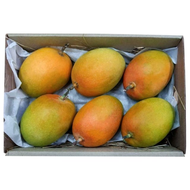 alphonso-mangoes