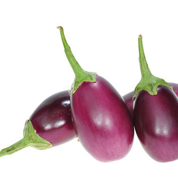 eggplant