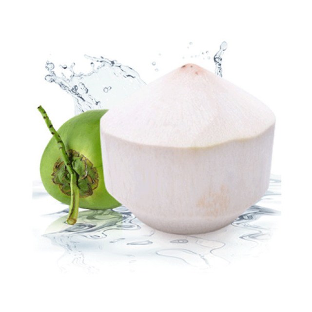 vietnam-fresh-young-coconut-diamond-shape--063